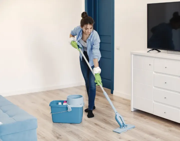 Femme de ménage Moineville